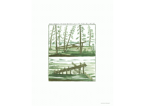 Том II. Таб. VII. Стр.226, 227.