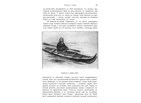 Колоссальная доисторическая статуя с о.Пасхи (сзади). 
